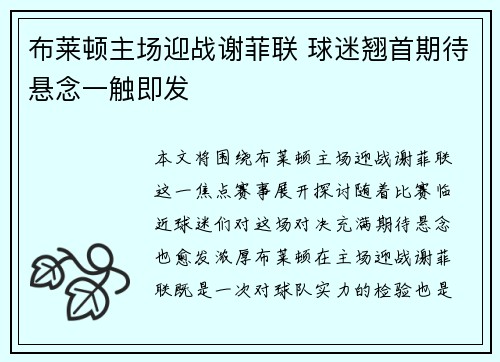 布莱顿主场迎战谢菲联 球迷翘首期待悬念一触即发