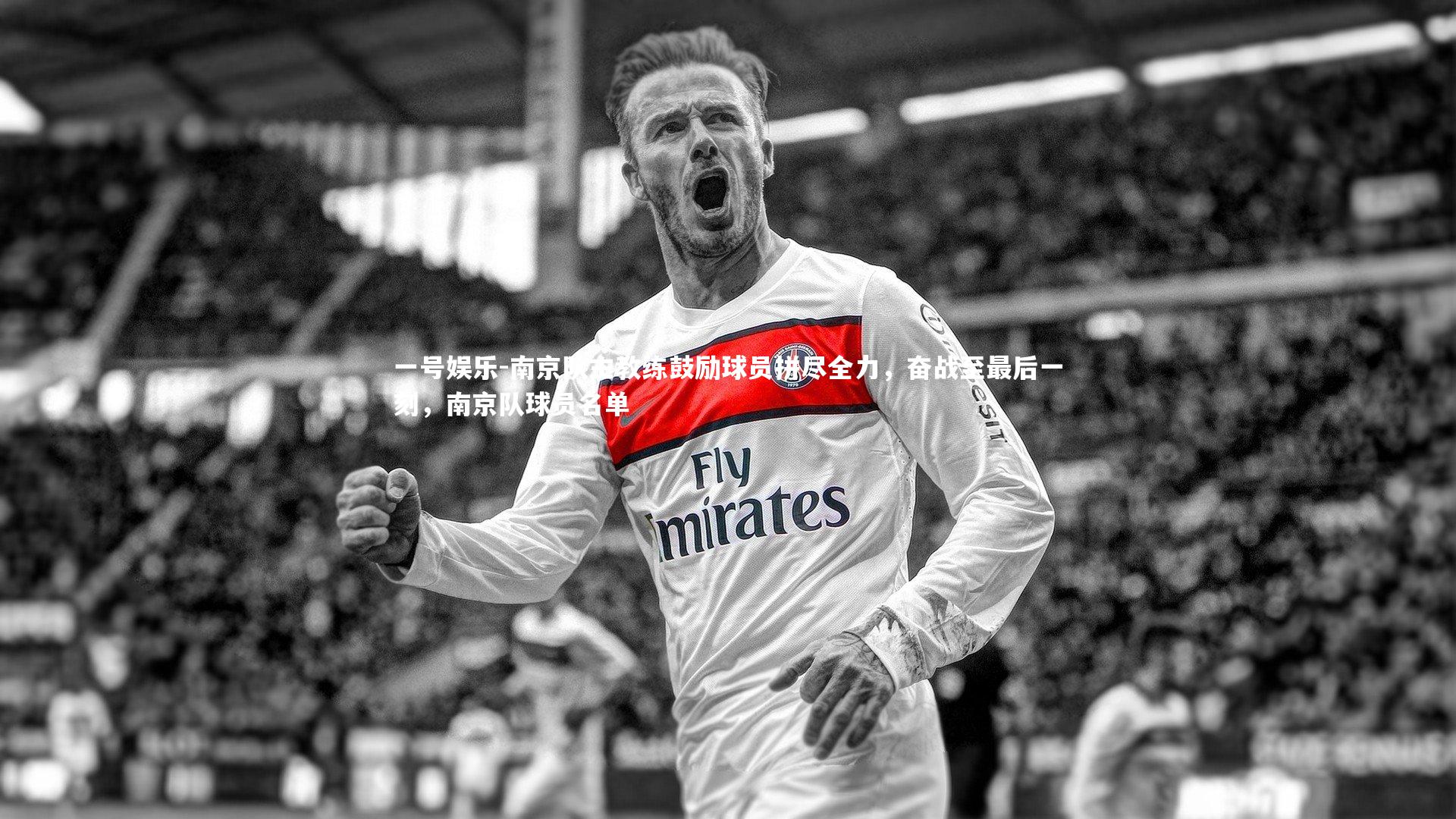 一号娱乐-南京队主教练鼓励球员拼尽全力,奋战至最后一刻,南京队球员名单