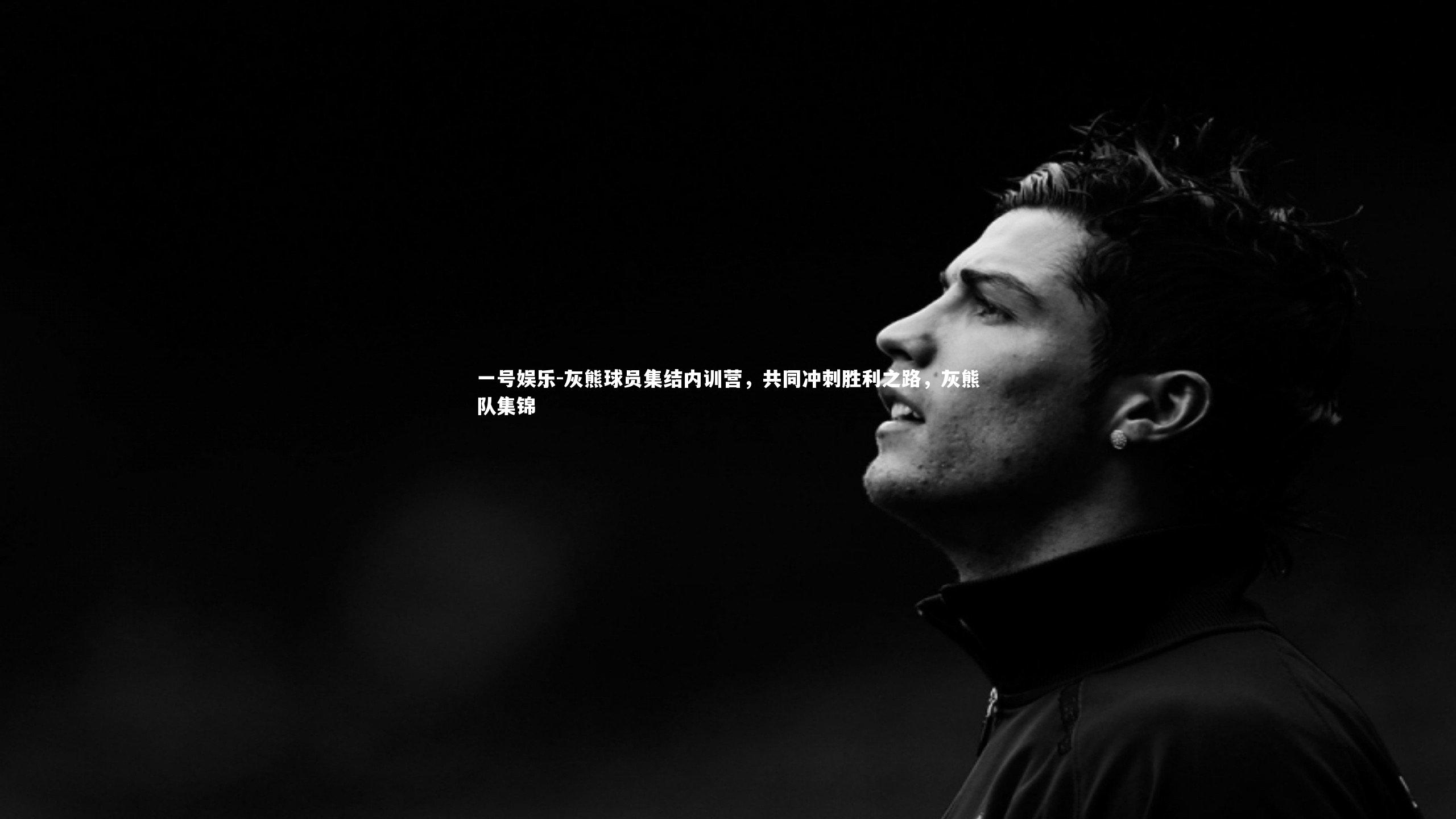 一号娱乐-灰熊球员集结内训营,共同冲刺胜利之路,灰熊队集锦