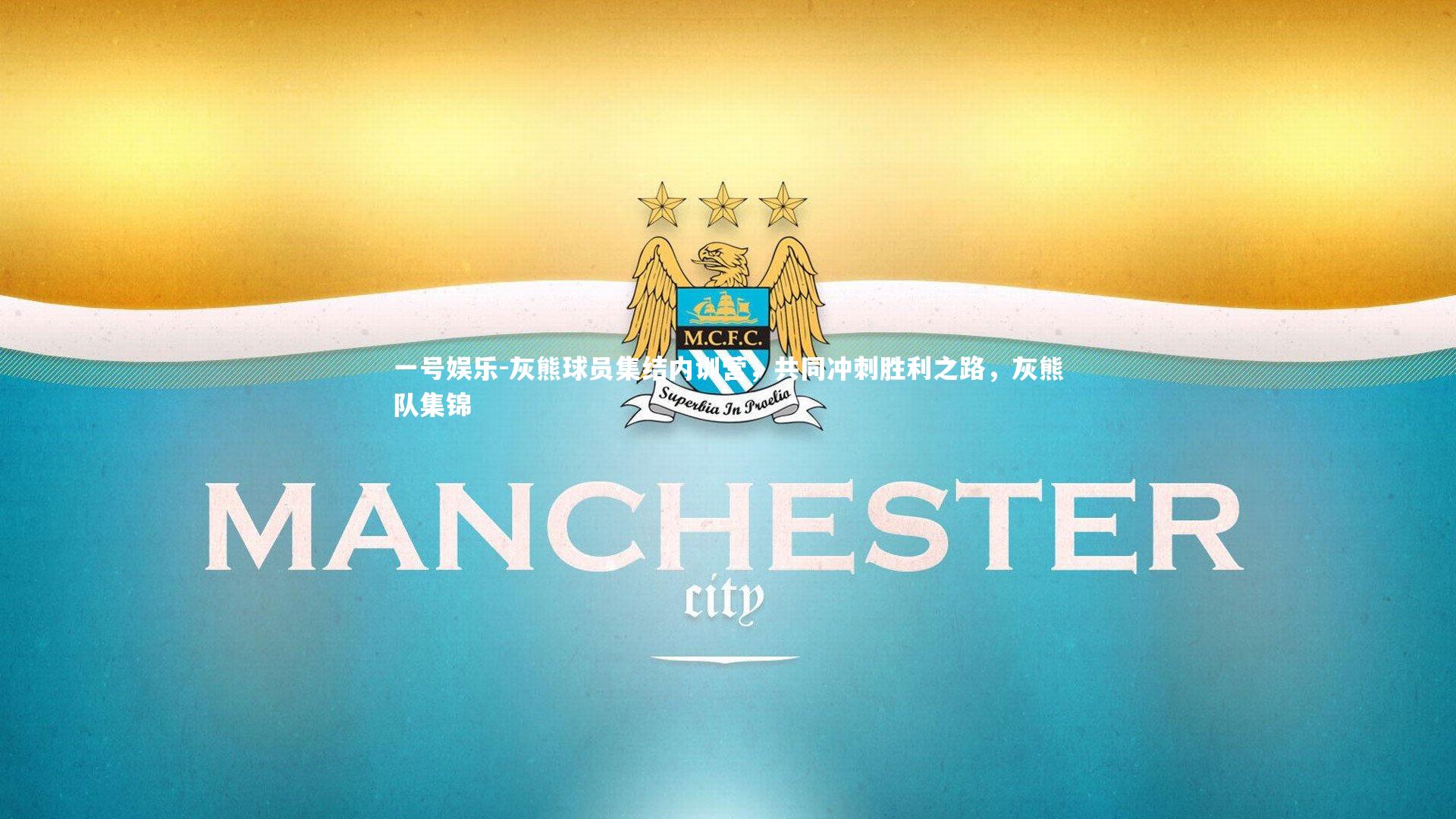 灰熊球员集结内训营,共同冲刺胜利之路,灰熊队集锦